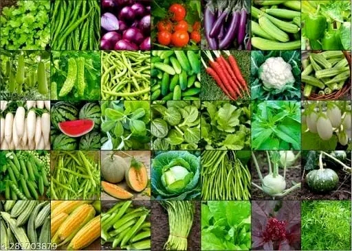 certified vegetables seeds 