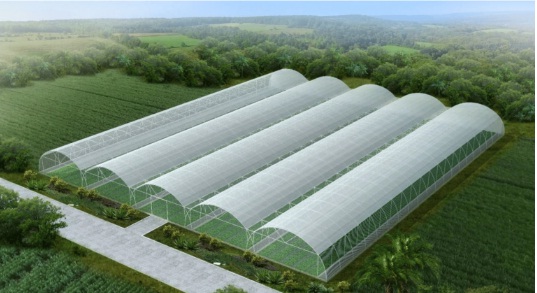 Greenhouse from Greece