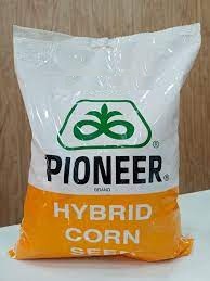 Pioneer Hybrid Corn Seed