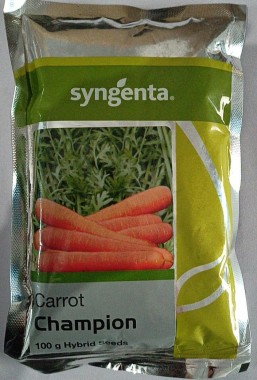 Seed Carrot – Syngenta